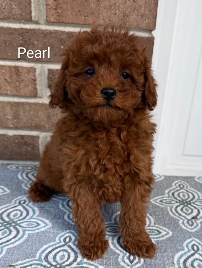 pea