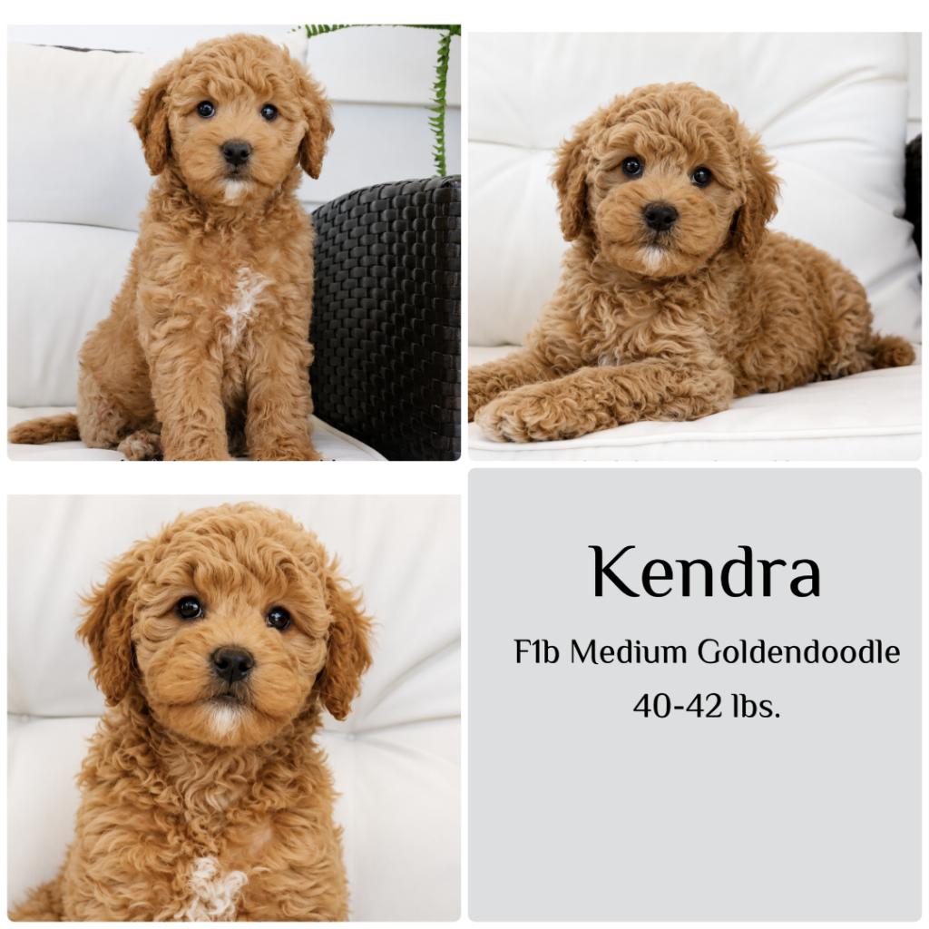kendra