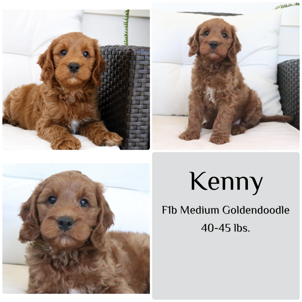 kenny